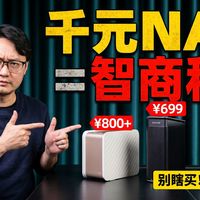 别再盲目加钱了！700块的NAS到底能干啥？三款双盘NAS真实优缺点曝光