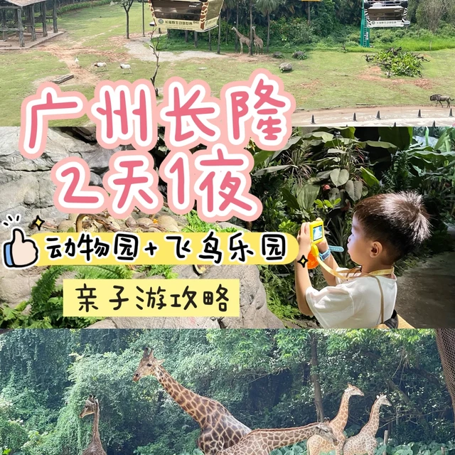广州长隆2天1夜亲子攻略｜动物园+飞鸟乐园