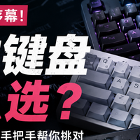618磁轴键盘怎么买不踩坑？百元到旗舰一篇讲清升级路线
