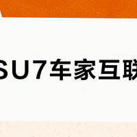 小米SU7车家互联真香？深度用户省心，轻度用户白花钱