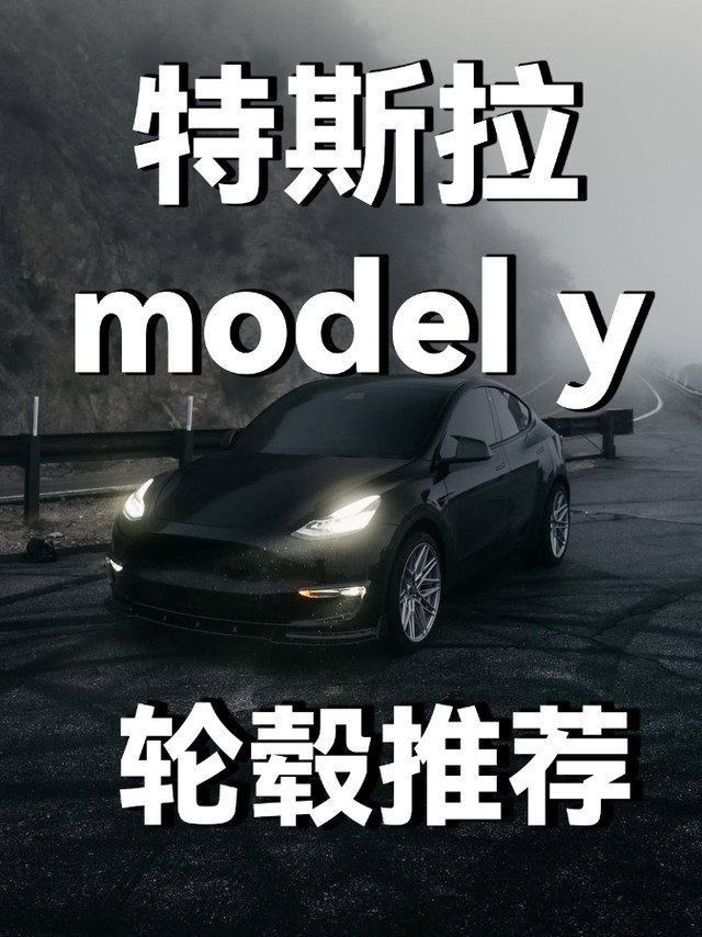 特斯拉modely最受欢迎前十锻造轮毂