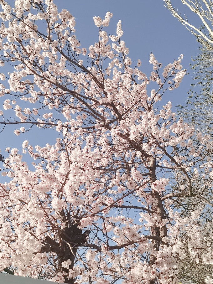 基础健康