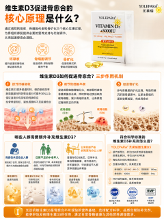 维生素D3促进骨愈合的原理
