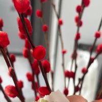实测 10 款热门即食黄精，我最后为什么选了旺复堂？