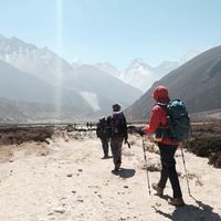 新手买登山杖别乱选，折叠款轻便但稳定性差，伸缩款才是安全首选