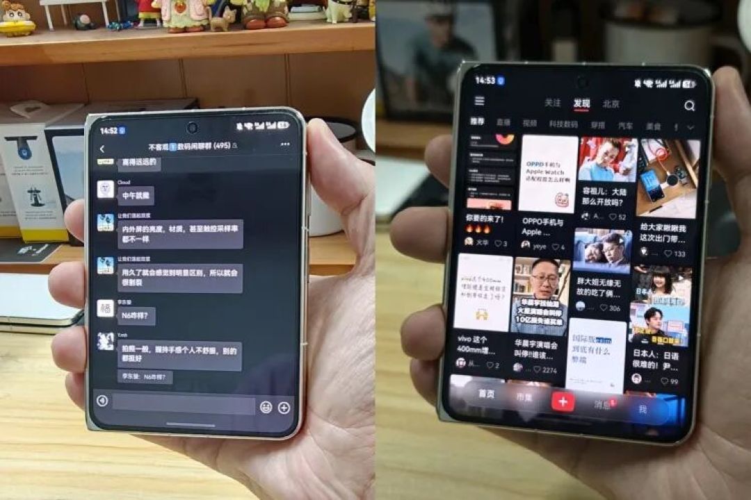 图源：不客观实验室