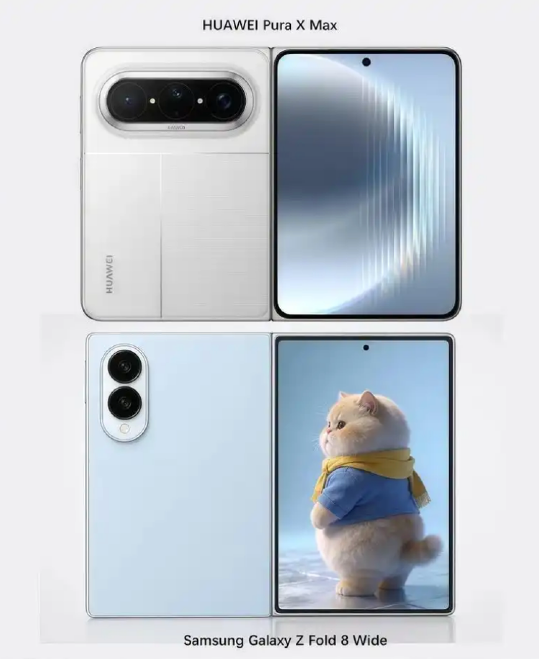 图源：网络