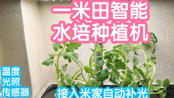 小米有品众筹抢跑之接入米家的一米田智能水培种植机。自动补光 