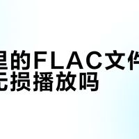 手机里的FLAC文件，真的在无损播放吗？
