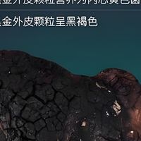 跨越国界的健康珍宝俄罗斯法罗斯杰克 S.F 公司与桦树茸黑金的