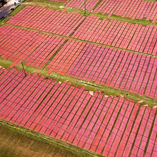 香云纱单场直播销售额突破800万元，非遗商业化落地取得突破性进展
