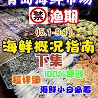 禁渔期青岛海鲜市场选购指南：野生海鲜供应与避坑细节