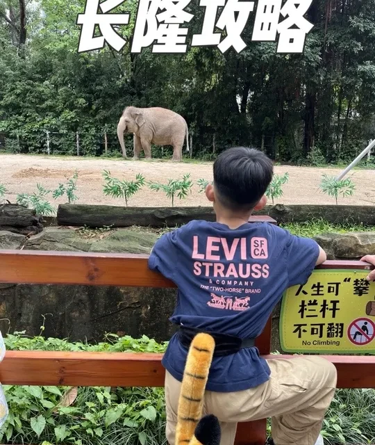 广州长隆五一亲子游攻略：酒店选址与路线规划详解