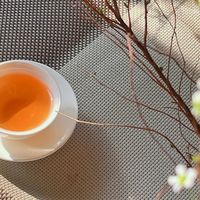 三得利无糖乌龙茶平替真相：差那两三块钱，风味差出一大截