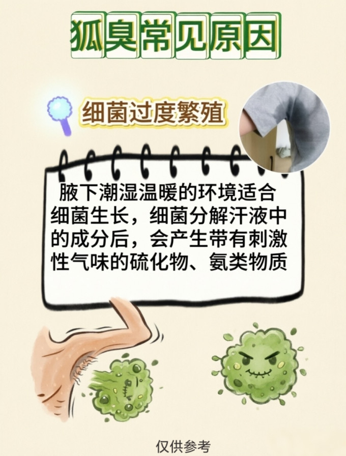 香体走珠