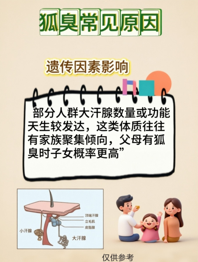 香体走珠
