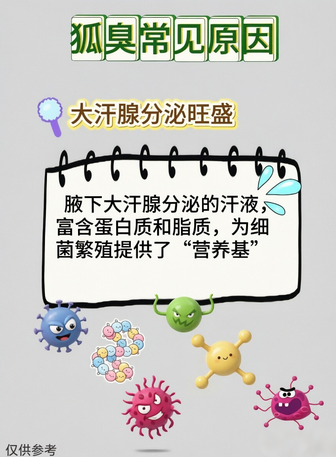 香体走珠