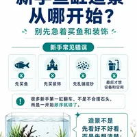 新手鱼缸造景指南：避开常见误区，掌握正确开缸顺序