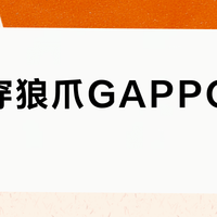 通勤穿狼爪GAPPON羽绒服？干冷城市稳赢，湿冷地区慎入