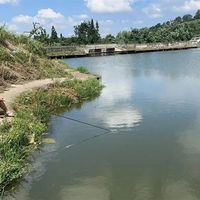 岸钓找鱼不用下水！看岸边这几样东西，新手也能10分钟定位鱼群