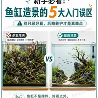 新手必看！鱼缸造景的 5 大入门误区