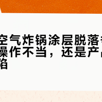 苏泊尔空气炸锅涂层脱落争议：是用户操作不当，还是产品存在质量缺陷？