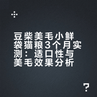 豆柴喂3个月的真实感受