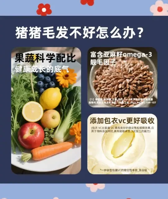 牛宠蓝莓提摩西荷兰猪粮核心参数与配方解析