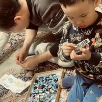 乐高说明书不是圣经：它帮孩子入门，却也可能扼杀创造力