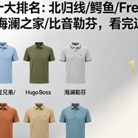 2026POLO衫十大排名：北归线/鳄鱼布克兄弟等，看完这篇再下单