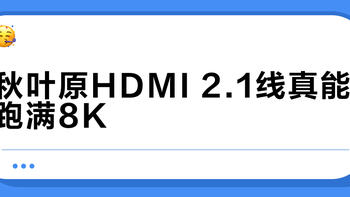 秋叶原HDMI 2.1线真能跑满8K？满足这两个条件才行