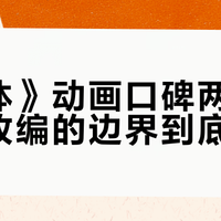 《三体》动画口碑两极分化：改编的边界到底在哪？