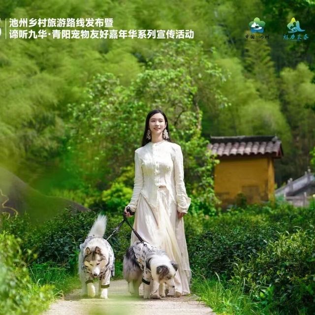 九华山宠物友好攻略：带毛孩子逛后山九子岩全指南