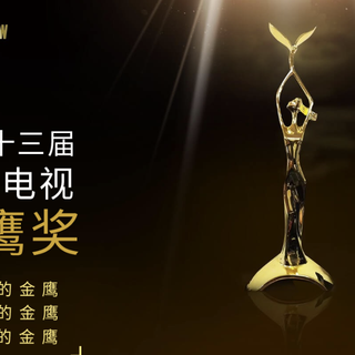 第33届中国电视金鹰奖网络投票5月16日开启！参与一下呗