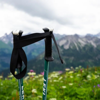 折叠登山杖适合轻装出行，伸缩款才是重装徒步的可靠选择