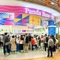 别再只画黑眼圈了：熊猫文创如何跳出同质化困局
