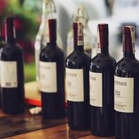 5元一瓶的干红火了！小瓶装红酒成年轻人新宠