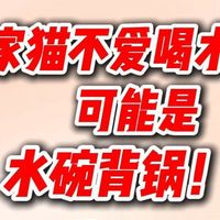 为啥猫咪放着干净凉白开不喝，偏爱喝马桶水？根本不是嫌弃你！看懂猫咪饮水本能，几招乖乖喝碗里的水