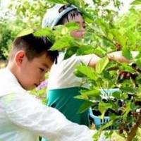 三六六社会实践｜带娃喂蚕缫丝采桑葚，解锁江南慢生活