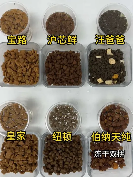 1分钟速评6款狗粮
#狗粮测评 #狗粮 #狗粮推荐