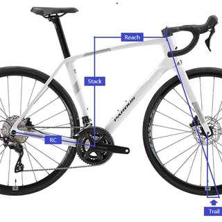 同样耐力碳架,捷安特defy adv3和瑞豹4999的super sport极二代,谁更值得买?