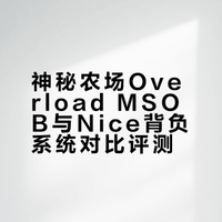 神秘农场 overload msob
