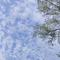 黑龙江徒步节胜利闭幕