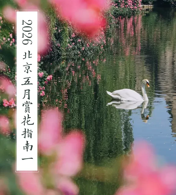 2026，北京五月赏花指南（一）