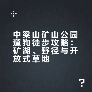带毛孩子漫步中梁山，赴一场矿湖之约～