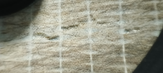 音响/音箱