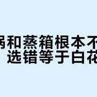 电蒸锅和蒸箱根本不是一回事，选错等于白花钱