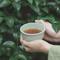 几百块的茶杯真能喝出区别？关键看这三点