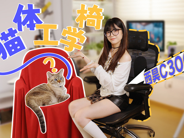 抄袭！我照西昊C300手搓了“猫体工学椅”？