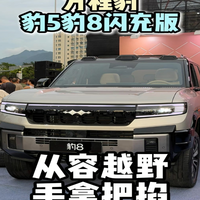 方程豹豹5豹8闪充版-从容越野,手拿把掐